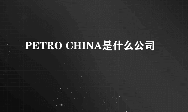 PETRO CHINA是什么公司