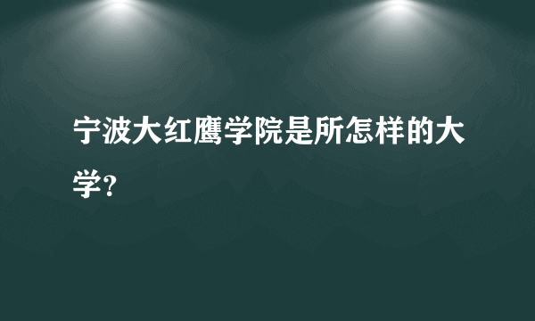 宁波大红鹰学院是所怎样的大学？