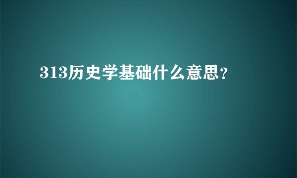 313历史学基础什么意思？