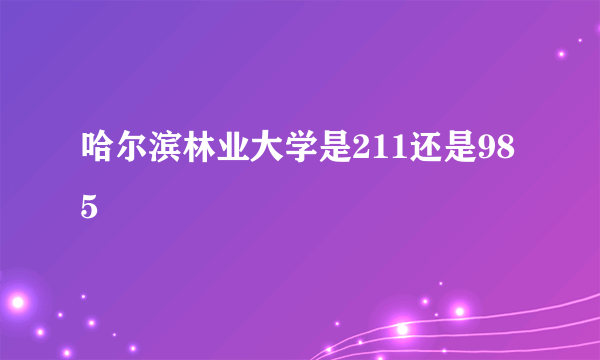 哈尔滨林业大学是211还是985