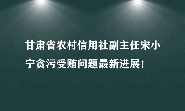 甘肃省农村信用社副主任宋小宁贪污受贿问题最新进展！