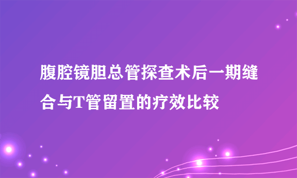 腹腔镜胆总管探查术后一期缝合与T管留置的疗效比较