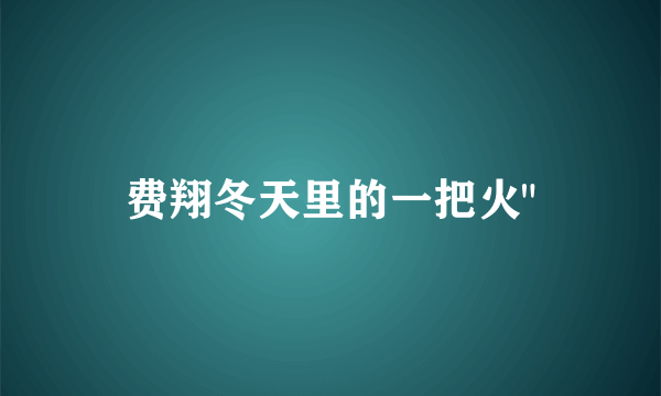 费翔冬天里的一把火