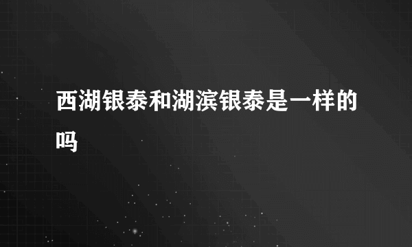 西湖银泰和湖滨银泰是一样的吗