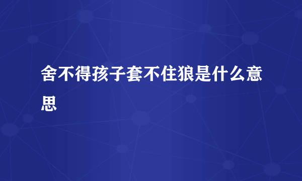 舍不得孩子套不住狼是什么意思