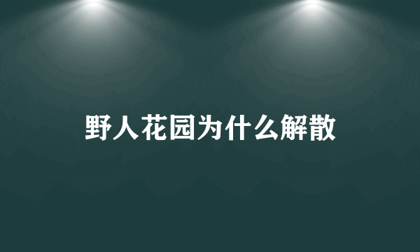 野人花园为什么解散