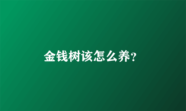 金钱树该怎么养？