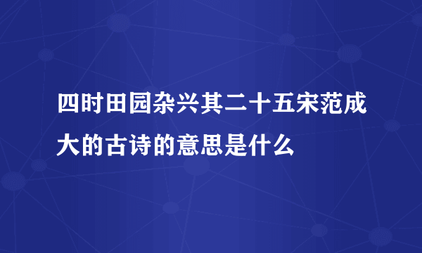 四时田园杂兴其二十五宋范成大的古诗的意思是什么