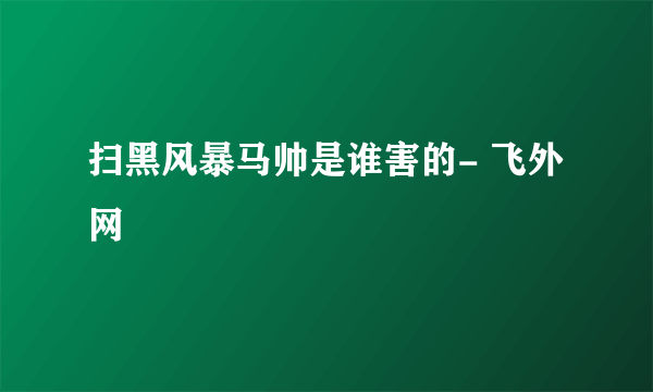 扫黑风暴马帅是谁害的- 飞外网