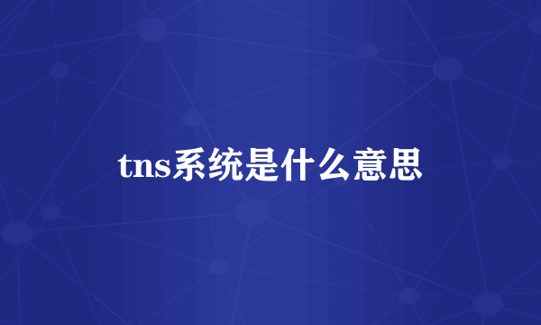 tns系统是什么意思