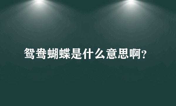 鸳鸯蝴蝶是什么意思啊？