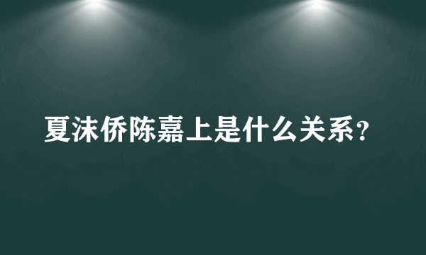 夏沫侨陈嘉上是什么关系？