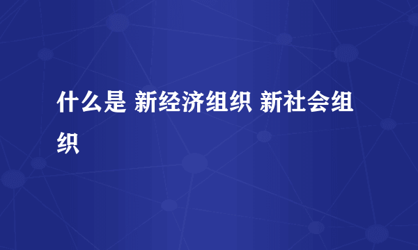 什么是 新经济组织 新社会组织