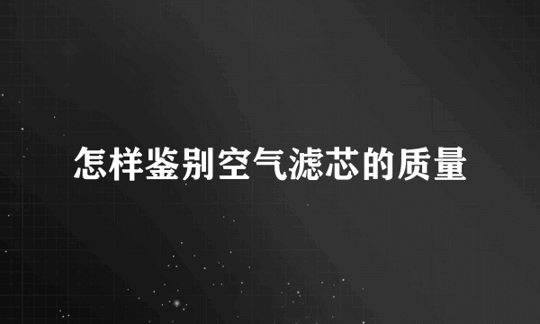 怎样鉴别空气滤芯的质量