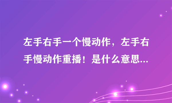 左手右手一个慢动作，左手右手慢动作重播！是什么意思！做什么事情！