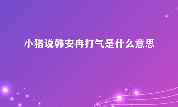 小猪说韩安冉打气是什么意思