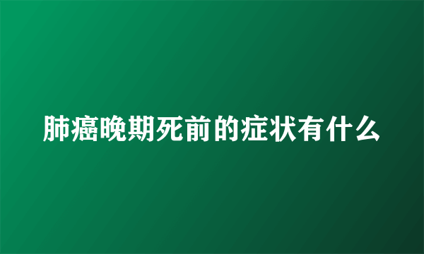 肺癌晚期死前的症状有什么