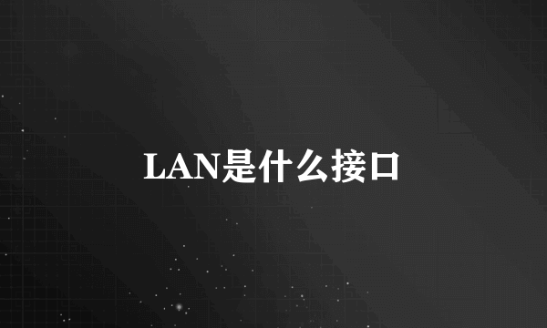 LAN是什么接口