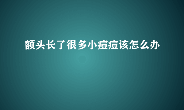 额头长了很多小痘痘该怎么办