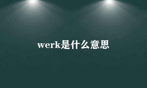 werk是什么意思