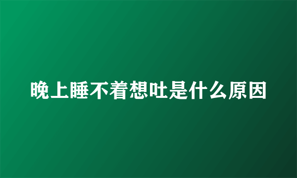 晚上睡不着想吐是什么原因