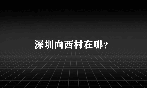 深圳向西村在哪？