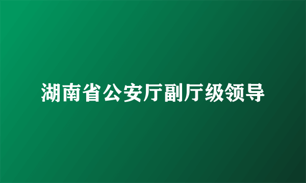 湖南省公安厅副厅级领导