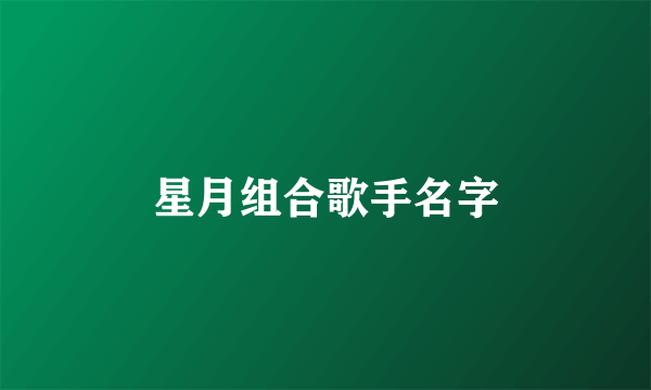 星月组合歌手名字