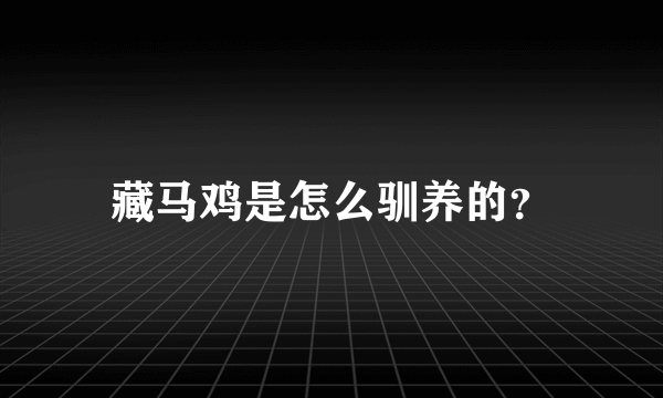 藏马鸡是怎么驯养的？