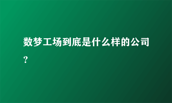 数梦工场到底是什么样的公司？