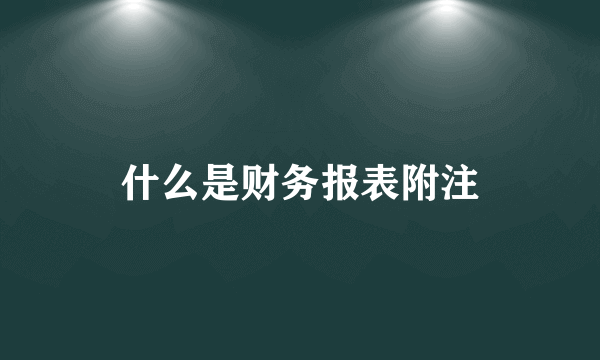 什么是财务报表附注