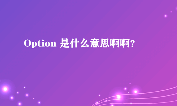 Option 是什么意思啊啊？