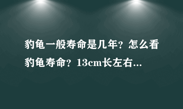 豹龟一般寿命是几年？怎么看豹龟寿命？13cm长左右的豹龟还能活几年？请懂的人、喜欢豹龟的详细解答谢谢哈