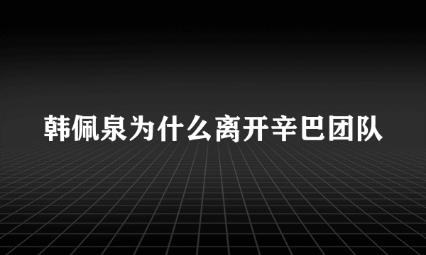 韩佩泉为什么离开辛巴团队