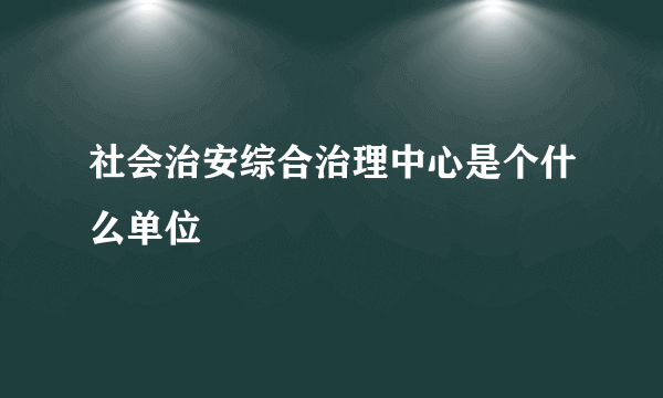 社会治安综合治理中心是个什么单位