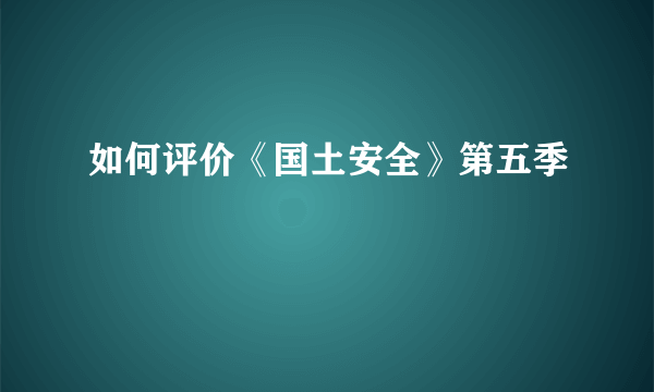 如何评价《国土安全》第五季