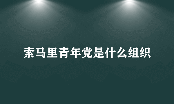 索马里青年党是什么组织