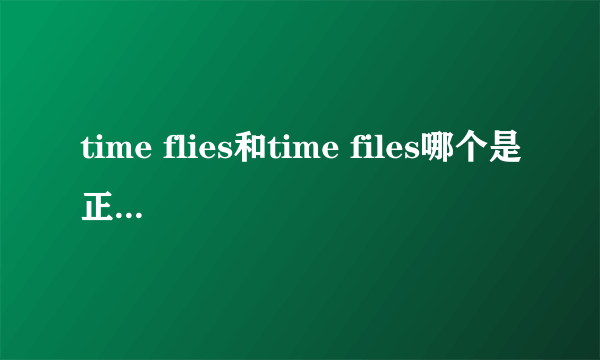 time flies和time files哪个是正确的？为什么？