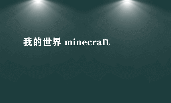 我的世界 minecraft