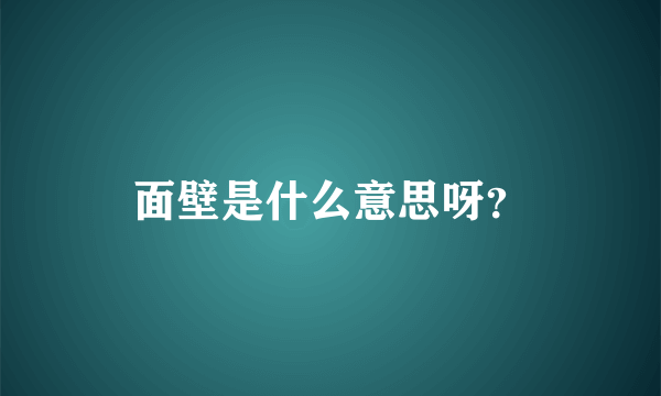 面壁是什么意思呀？