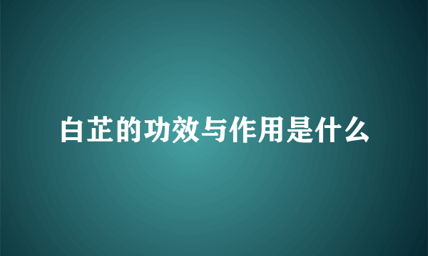 白芷的功效与作用是什么