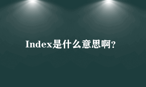 Index是什么意思啊？