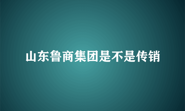 山东鲁商集团是不是传销