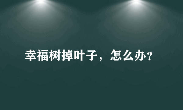 幸福树掉叶子，怎么办？