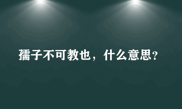 孺子不可教也，什么意思？