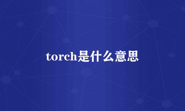 torch是什么意思