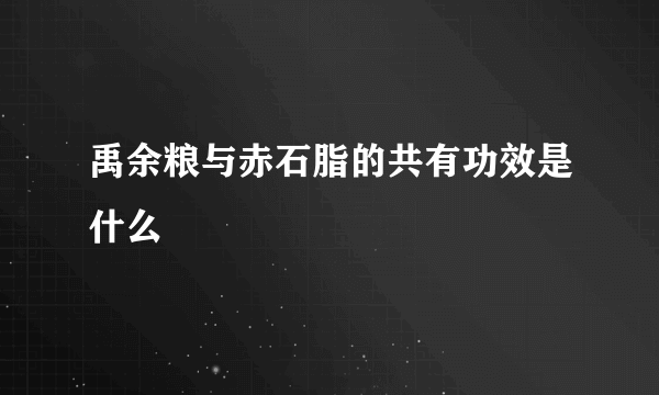 禹余粮与赤石脂的共有功效是什么