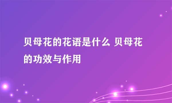 贝母花的花语是什么 贝母花的功效与作用