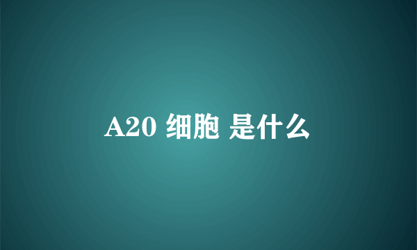 A20 细胞 是什么