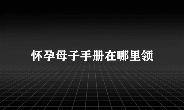 怀孕母子手册在哪里领